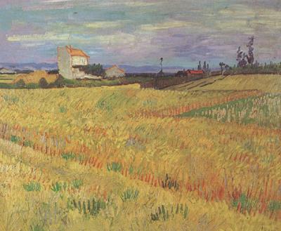 Wheat Field (nn04), Vincent Van Gogh